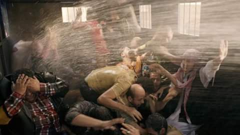 فيلم 