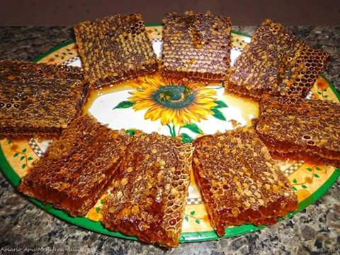  العسل علاج وشفاء في شهر رمضان ؟
