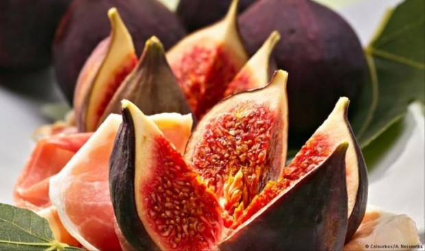 التين.. اجتمع فيه ما تفرق في غيره