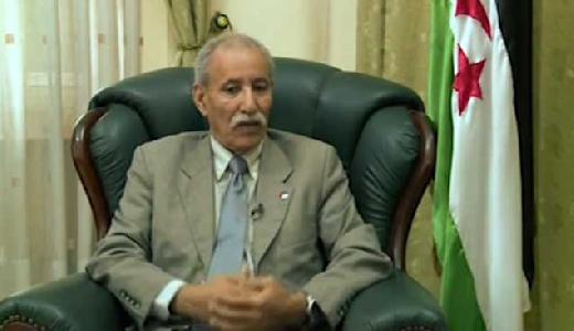 خبير دولي : تعيين غالي مسرحية لنظام يفتقد المشروعية ؟