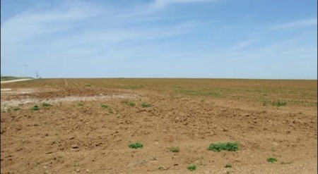 تطوان : سلاليون يطالبون بالتحقيق في السطو على 39 هكتارا من أراضي الجموع