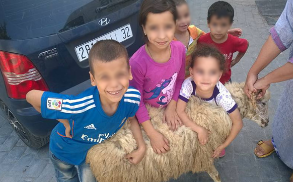 سلطات طنجة تصادر خرفان رياض الجنة.. والجمعية تؤكد: الانتخابات جلبت التعاسة لليتامى
