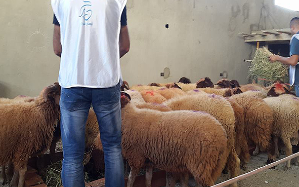 بعد منع توزيع الأضاحي... جمعية السعادة تؤكد: لا علاقة لنا بالسياسة