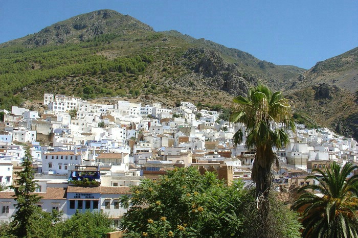أجانب ضحايا نصب شركة عقارية بشفشاون يحتجون !؟