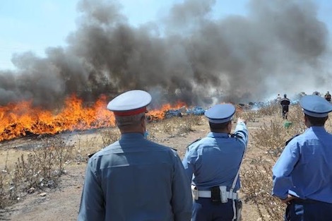 طنجة : إتلاف أزيد 18 طنا من المخدرات  !؟