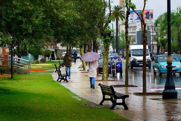 مديرية الأرصاد الجوية تتوقع أجواء غائمة وممطرة بشمال المملكة