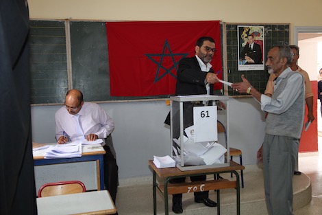 هل تكسب 