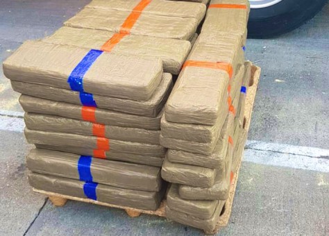 إجهاض محاولة لتهريب طن و220 كيلوغراما من الشيرا بميناء طنجة المتوسط- صور