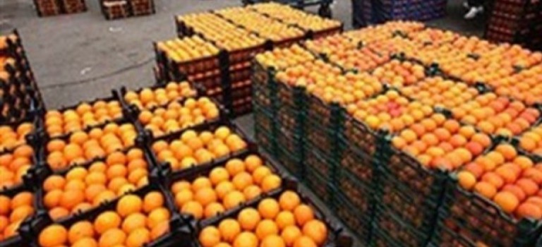 بعد سحب البرتقال المغربي من هولندا.. “أونسا” يوضح ويكشف معطيات علمية دقيقة