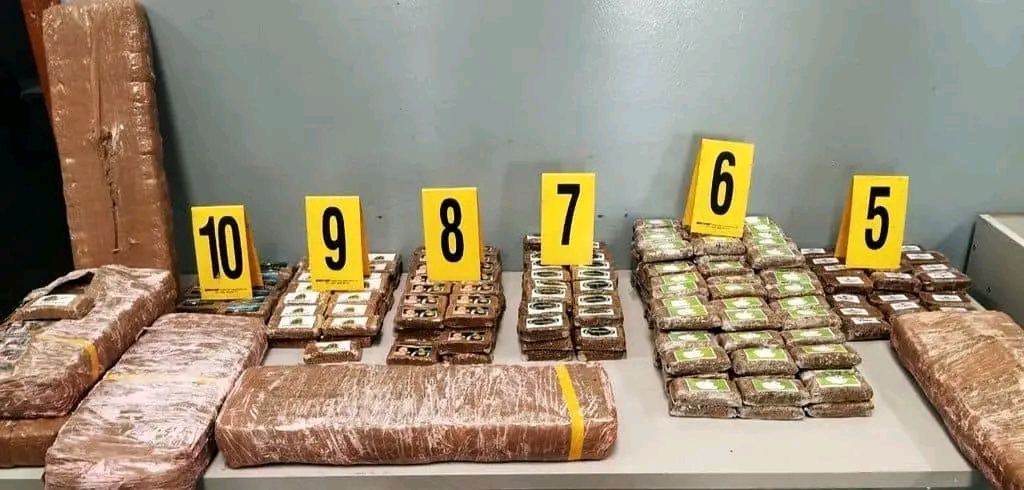 طنجة : إحباط محاولة تهريب  طن و250 كلغ من مخدر 