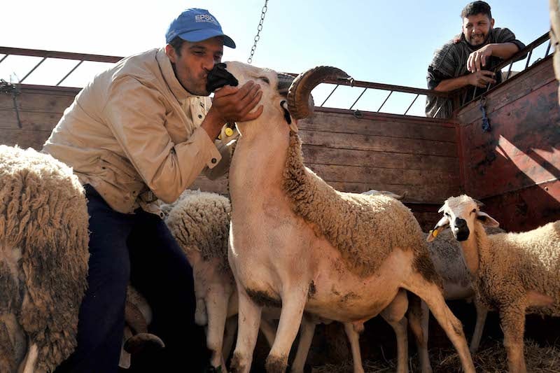 الصندوق المغربي للتقاعد يصرف معاشات المتقاعدين بمناسبة الأضحى !
