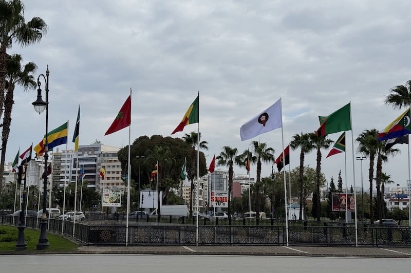 طنجة ترفع الراية الإفريقية: المدينة تدخل الأجواء الكروية استعدادًا لاستضافة 