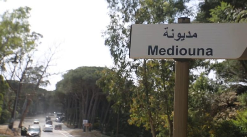 غابة "مديونة" بطنجة: رئة تتنفس الخطر تحت عجلات السرعة والتهور