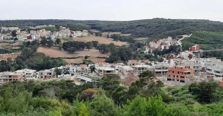 طنجة تتحصن ضد أطماع العقار: معركة تحفيظ الغابات تخرج من بطء العقود