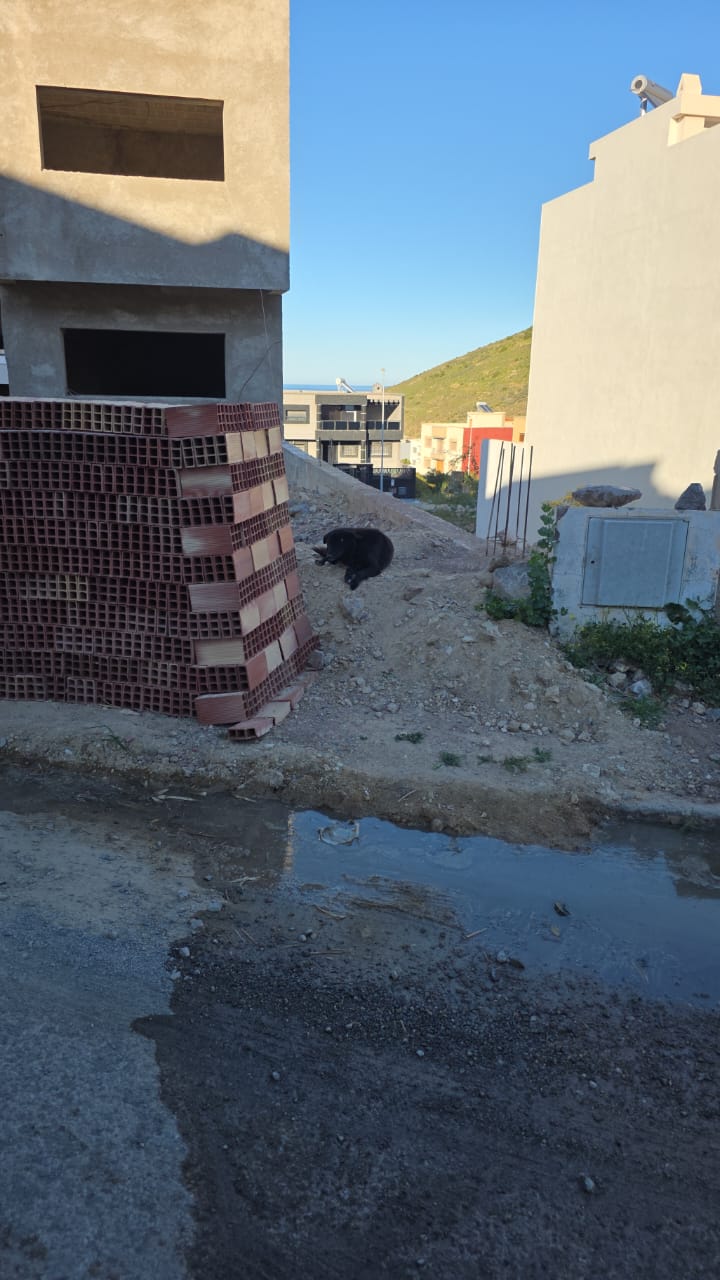 الحسيمة: ساكنة تجزئة الفقيري ترفع صرخة التذمر لدى العامل 