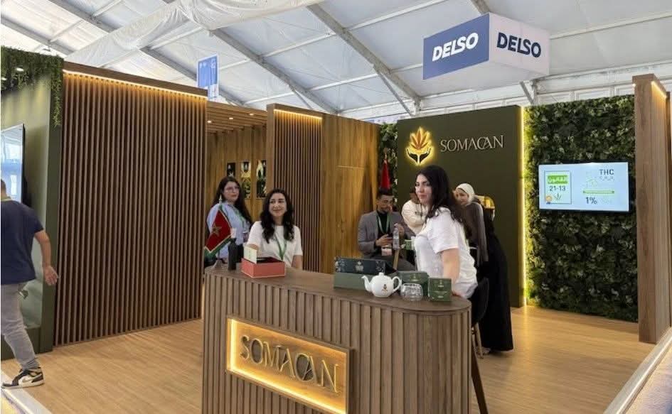 الحشيش المغربي المُقنّن