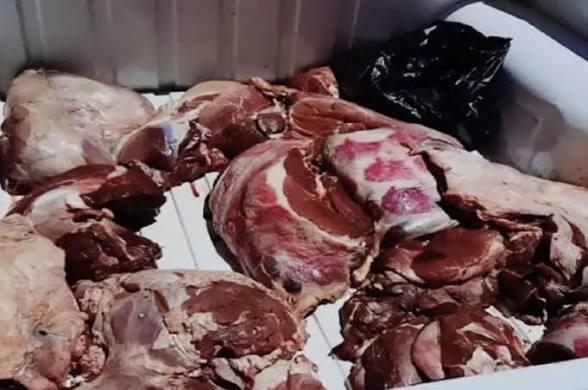 طنجة: شحنة لحوم مجهولة المصدر تسقط في كمين للدرك